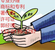 數(shù)字時(shí)代的視覺(jué)盛宴 高清圖片與網(wǎng)絡(luò)文化經(jīng)營(yíng)的融合與發(fā)展